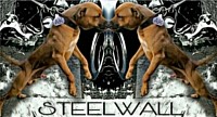 STONEWALL BLOOD
